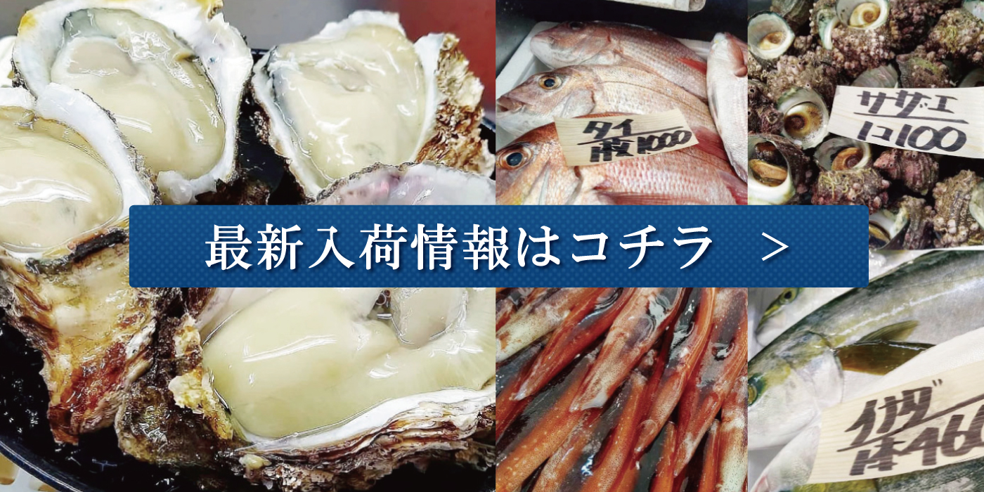 最新入荷情報
