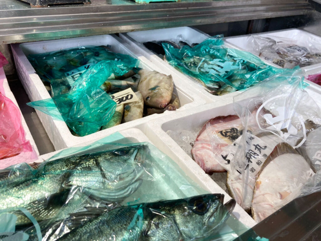 村上市岩船港直売所/鮮魚/道の駅/お土産/お刺身