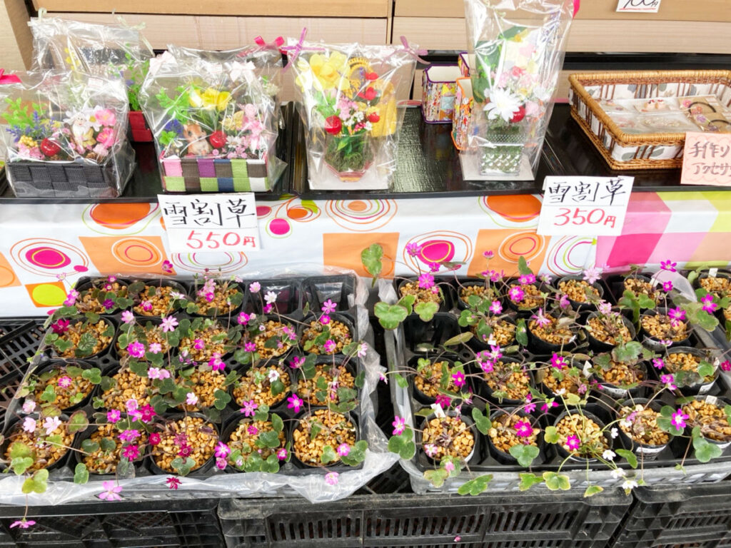 村上市岩船港直売所/野菜/道の駅/お土産