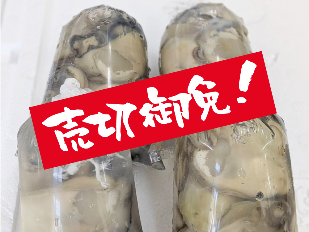 袋むき身牡蛎（売切御免）