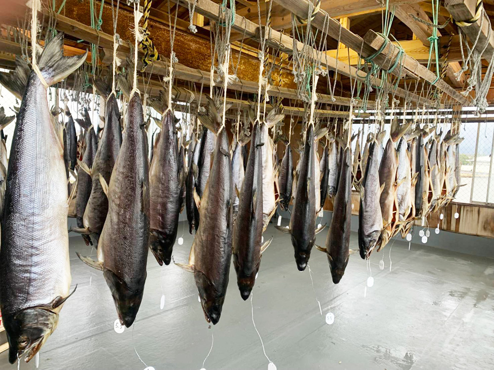 岩船港
村上市
塩引き鮭