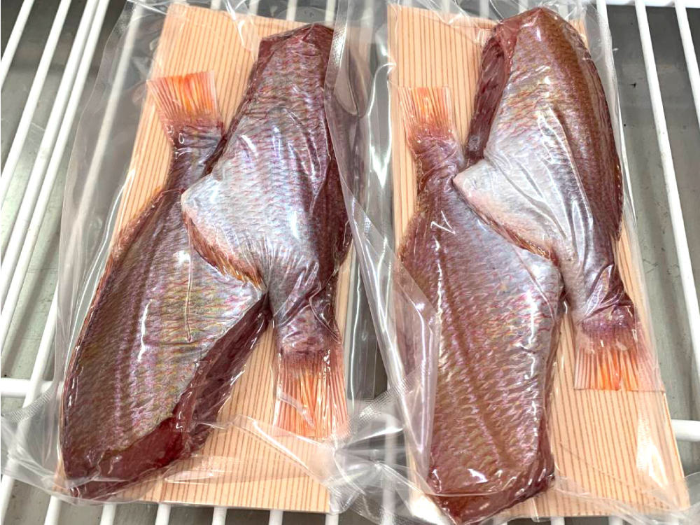 冷凍 レンコダイ塩干し(ひもの)