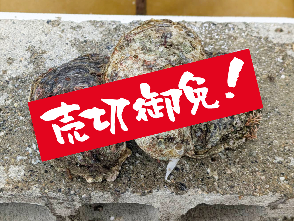 岩牡蛎（売切御免）