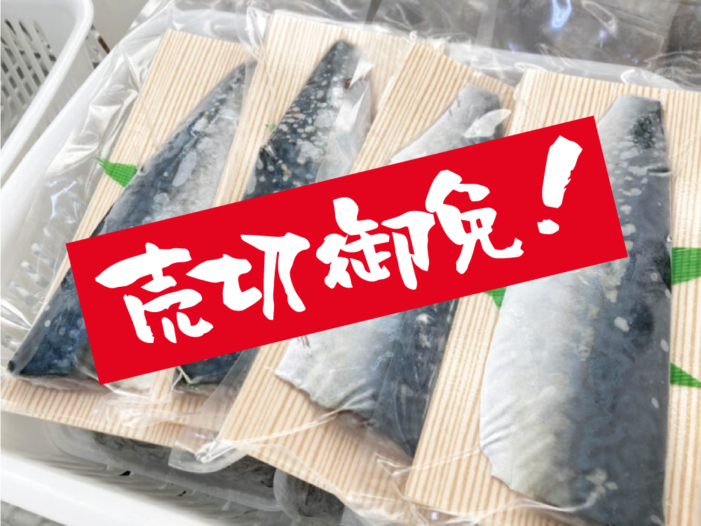冷凍-〆さば（売切御免）